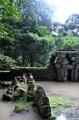 Angkor Thom Baphuon 05