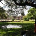 Angkor wat 14