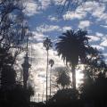 Auckland 3