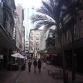 Auckland 4