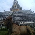 Ayutthaya 17