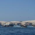 Ballestas 1