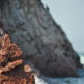 Ballestas 6