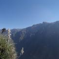 Colca 1