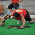 Combat de serpents 04