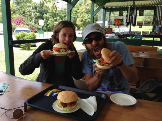 Daintree river 11