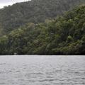 Daintree river 2