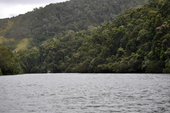 Daintree river 2