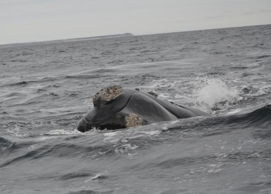 Excursion en Bateau 03