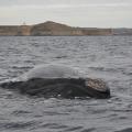 Excursion en Bateau 04