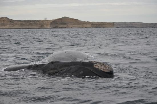 Excursion en Bateau 04