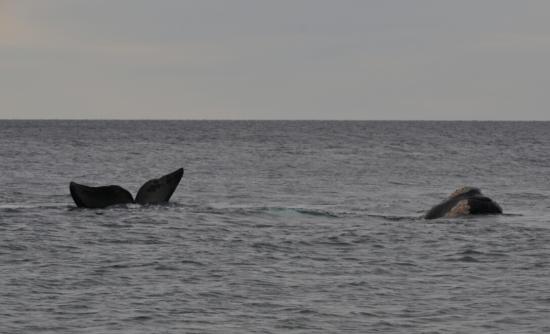 Excursion en Bateau 06