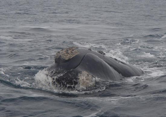 Excursion en bateau 11