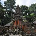 Foret singes 02