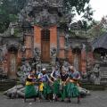 Foret singes 04