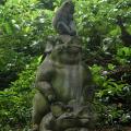 Foret singes 07