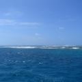 Great coral Reef 1