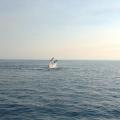 Hervey Bay 10