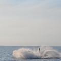 Hervey Bay 8