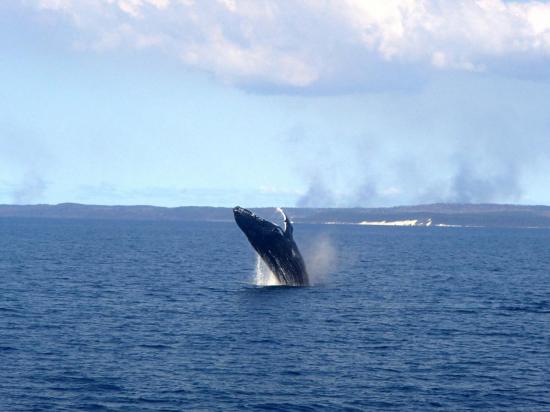 Hervey Bay 9