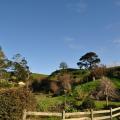 Hobbiton 10