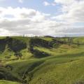 Hobbiton 13