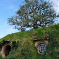 Hobbiton 3