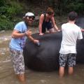 Jungle Trek 03