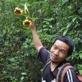 Jungle Trek 10