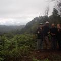 Jungle Trek 12