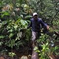 Jungle Trek 13