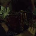 Kava night