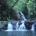 Lamington Park 10