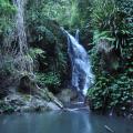 Lamington Park 12