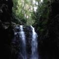 Lamington Park 13