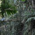 Lamington Park 6