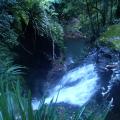 Lamington Park 9