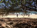 Magnetic Island 12