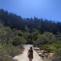 Magnetic Island 13
