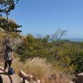 Magnetic Island 4
