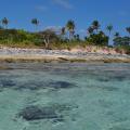 Mana Island 6