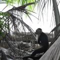 Manuel Antonio 10