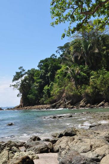 Manuel Antonio 5