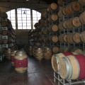 Mendoza 3