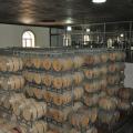 Mendoza 4