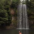 Millaa Millaa falls 1