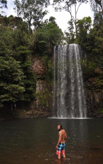 Millaa Millaa falls 1