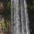 Millaa Millaa falls 2