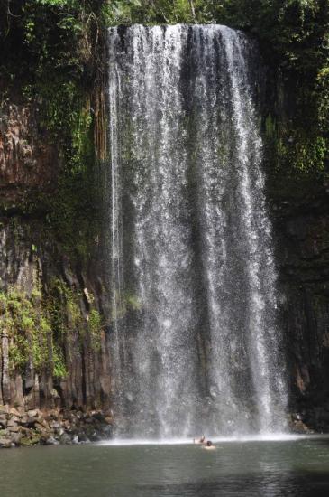 Millaa Millaa falls 2