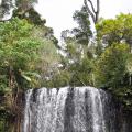 Millaa Millaa falls 3